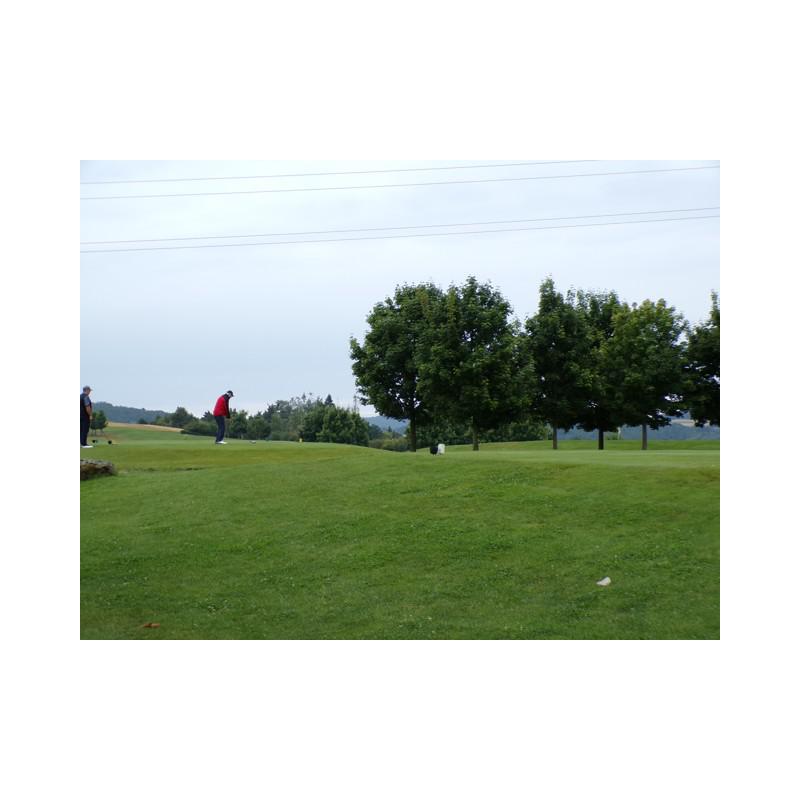 ce861ff6_100_0001.JPG