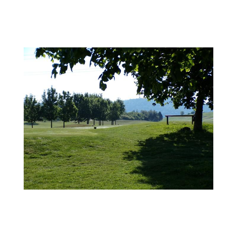 fd130ccc_100_0001.JPG